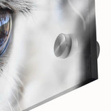 Close-up of a bird on acrylic glass, featuring large abstract wall art in mid-century modernist style.