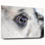 Acrylic print of a large abstract depiction of birds in flight, using a palette of blues and grays.