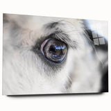 Large abstract wall art of vibrant birds in flight on acrylic glass, suitable for bedroom or dining room decor.