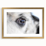 Extra large abstract art print of birds in textured gold frame, ideal for living room decor.