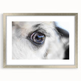 Textured art depicting abstract bird designs in muted earth tones on a framed silver mat, ideal for bedroom art.