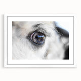 Abstract art print of birds in muted earth tones on a white framed canvas, suitable for bedroom or dining room decor.