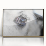 Framed acrylic print of a bird in flight, depicted in mid-century modernist style with muted earth tones.