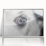 Art deco poster of colorful birds in flight, acrylic framed, ideal for nursery wall decor.