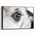 Black and white framed canvas featuring a close-up of a bird, ideal for bedroom wall art.