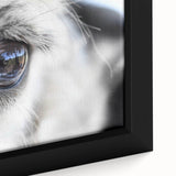 Close-up of a colorful bird on black textured canvas, extra large size ideal for living room decor.