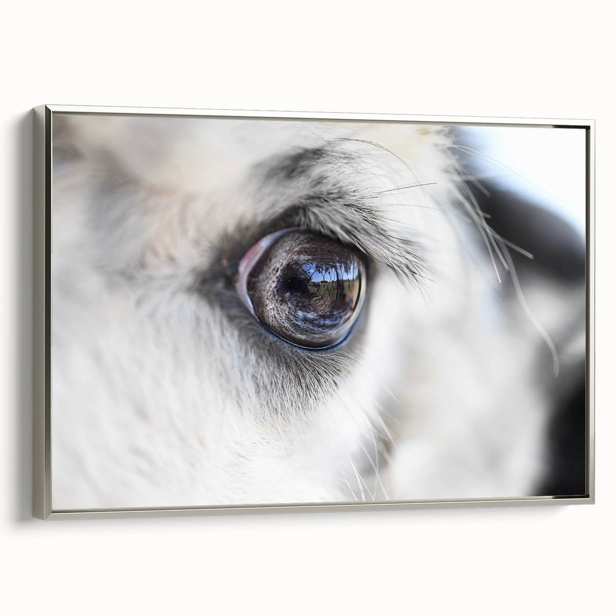 Framed canvas featuring a vivid landscape painting of birds in flight, set against a silver frame.