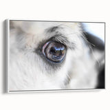 Vintage poster art of colorful birds on a black background, framed canvas, ideal for living room decor.