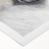 Art deco poster of colorful birds in flight on a rolled canvas, suitable for dining room or bathroom wall art.