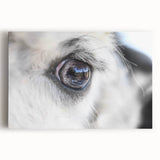 Close-up black and white photo of a bird on stretched canvas, ideal for kitchen art.