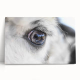 Black and white photo of a bird on stretched canvas, ideal for kitchen wall art or bedroom decor.