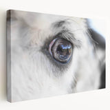 A close-up image of a bird on a stretched canvas, featuring detailed feathers in earthy tones, ideal for kitchen wall art.