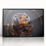 Large abstract wall art featuring a mid-century modernist birds design in black and white, framed in acrylic.