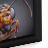 Close-up of a bird in black textured art on framed canvas, featuring vibrant colors, ideal for living room decor.