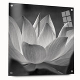 Close-up of a floral design in vivid colors on acrylic glass, suitable for bedroom or dining room decor.