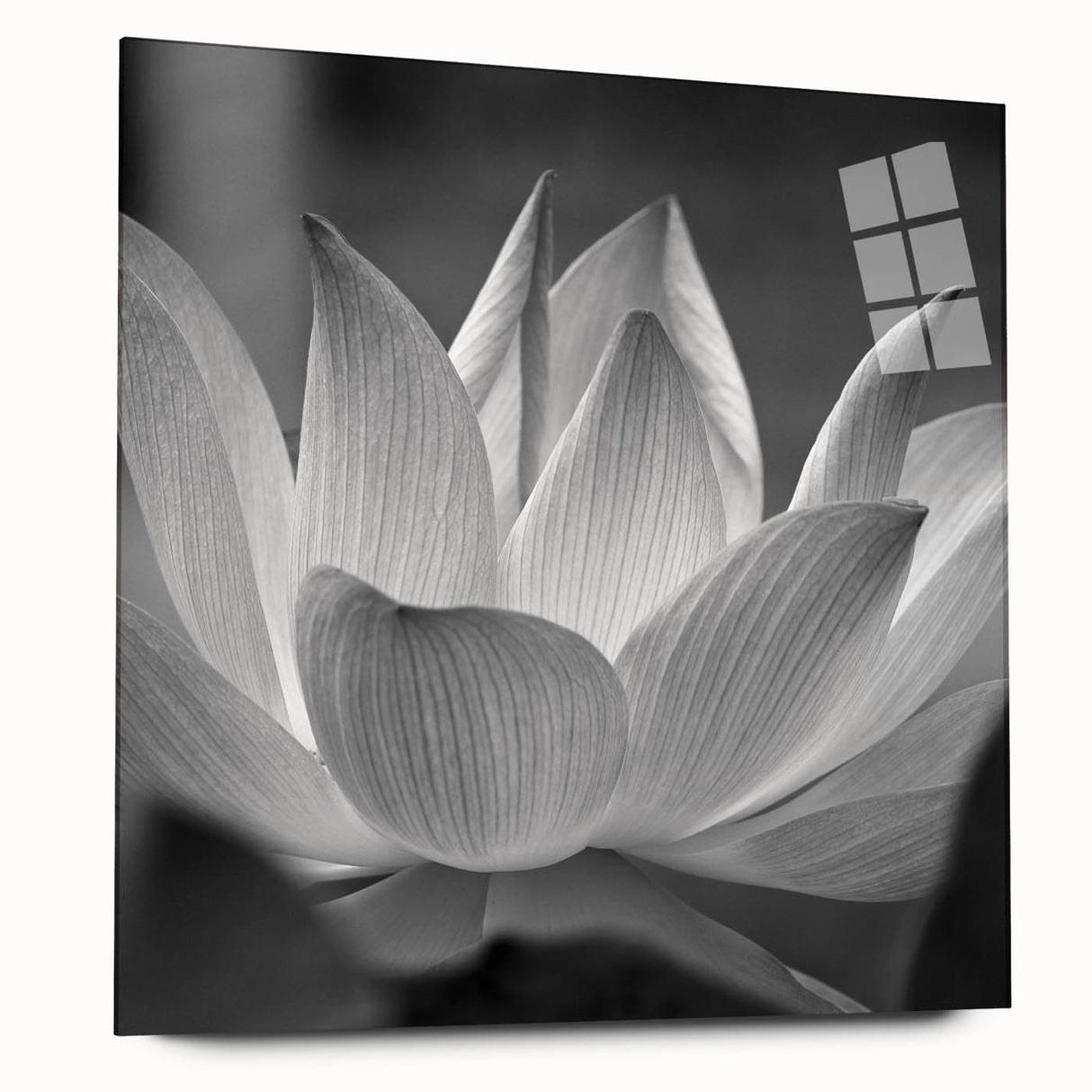 Large abstract floral design in vibrant colors on acrylic glass, ideal for bedroom or dining room decor.
