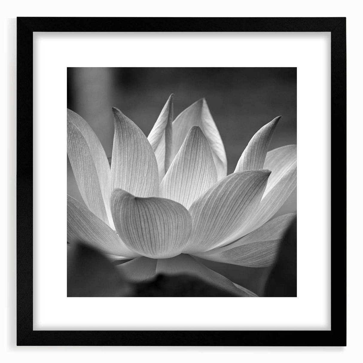 Extra large abstract art print featuring vibrant, colorful florals on a textured canvas, framed in black.