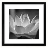 Extra large abstract art print featuring vibrant, colorful florals on a textured canvas, framed in black.