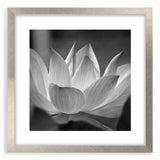 Textured art depicting abstract florals in muted earth tones, framed in silver, ideal for bedroom decor.