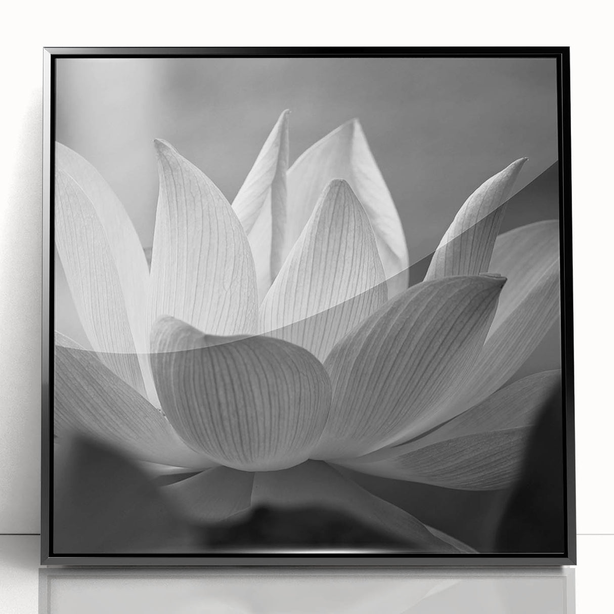 Large abstract wall art depicting vibrant floral designs in a mid-century modernist style, framed in black acrylic.