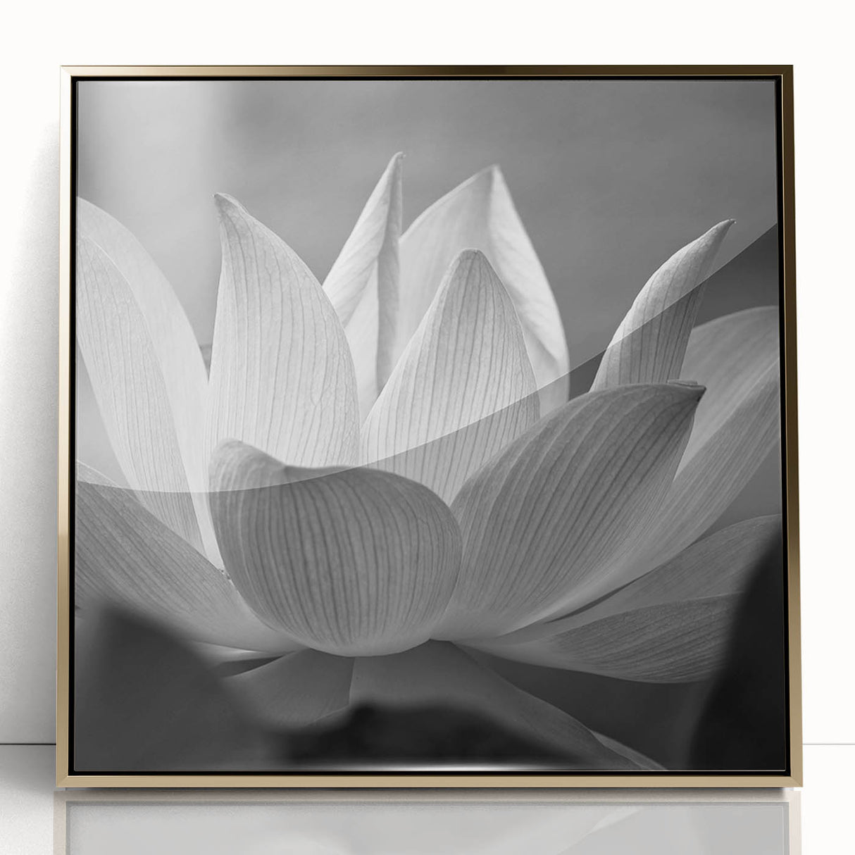 Close-up floral design on large art print, framed in gold acrylic, in mid-century modernist style.