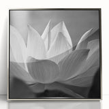 Mid-century modernist art featuring close-up floral designs in muted pastel shades on a framed acrylic print.