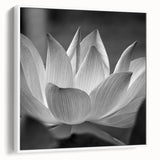 Vintage poster art featuring vibrant floral designs on a large framed canvas, suitable for living room decor.