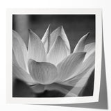 Close-up floral art in soft pastel shades on a rolled canvas, ideal for dining room or bathroom decor.