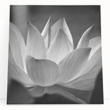 Black and white floral close-up on stretched canvas, ideal for kitchen wall art or bedroom ambiance.