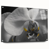 Large abstract floral design in vibrant colors on acrylic glass, ideal for dining room or bedroom wall art.