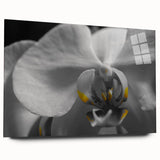 Large abstract floral design in vibrant pink and green hues on acrylic glass, ideal for bedroom or dining room decor.