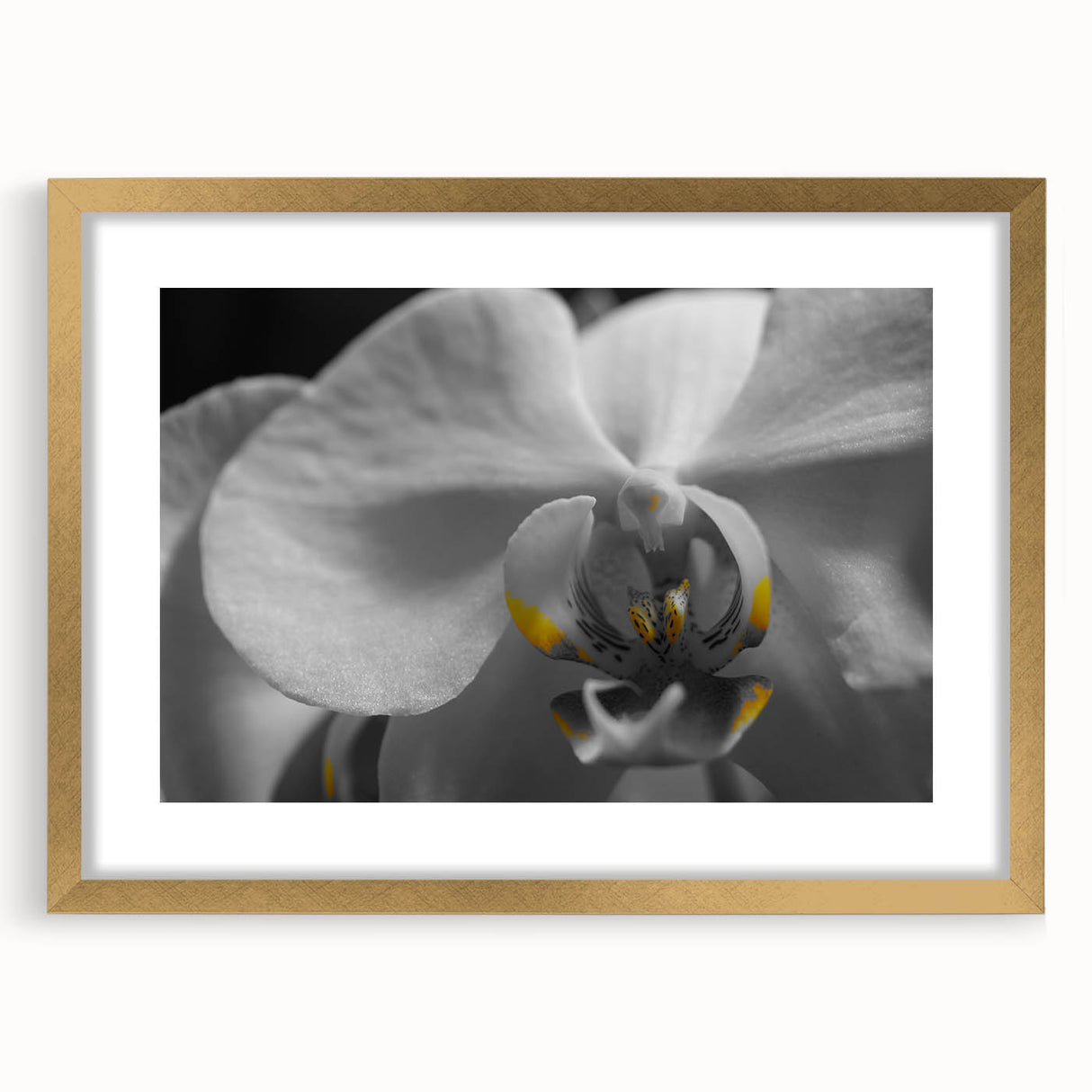Extra large abstract art print featuring textured florals in pastel shades, framed in gold, ideal for living room decor.