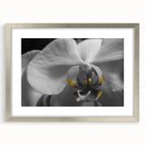 Textured abstract art print depicting vibrant floral designs in pastel shades, framed in silver, ideal for bedroom art.