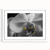 Abstract art print featuring soft pastel floral designs on a white framed canvas, ideal for bedroom or dining room decor.