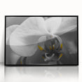 Large abstract wall art featuring vibrant floral designs in pastel shades, framed in black acrylic.