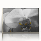 Mid-century modernist art depicting a close-up floral design in muted pastels on a silver-framed acrylic.