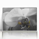 Art deco poster featuring close-up floral designs in pastel shades on white acrylic, ideal for modern nursery wall art.