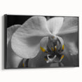 Black and white framed canvas depicting a floral landscape, ideal for bedroom wall art in a vintage poster style.