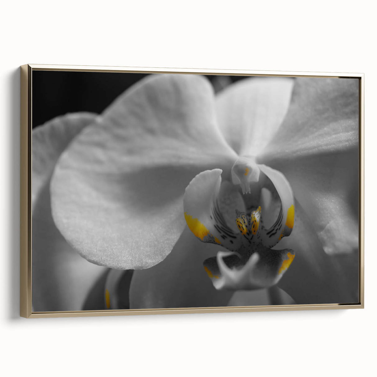 Framed canvas of a vintage landscape painting featuring muted earth tones, ideal for bedroom wall art.