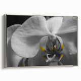 Framed canvas featuring a vintage landscape painting with vibrant colorful flora against a contrasting black background.