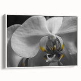 Vintage poster art of colorful florals on a large framed canvas, ideal for living room decor.