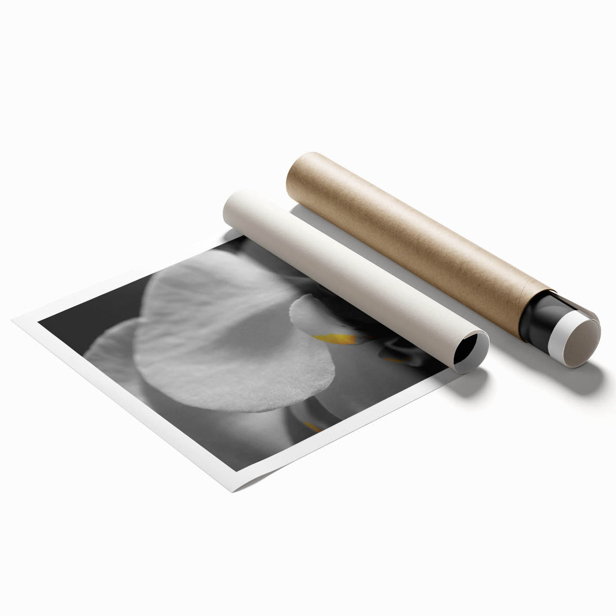Extra large rolled print of a detailed floral art in pastel shades, ideal for classy bathroom wall art.