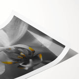 Extra large wall art featuring line art flowers in black on a white background, ideal for large living room decor.