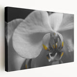 Close-up floral print on large stretched canvas with vibrant green and pink tones, ideal for kitchen wall art.