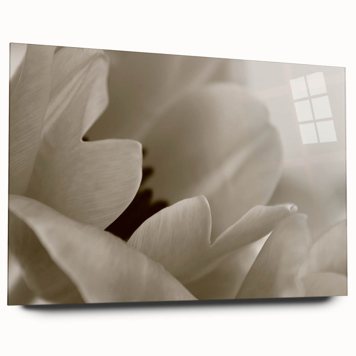 Large abstract floral design in vibrant colors on acrylic glass, ideal for bedroom or dining room art.