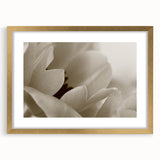 Extra large abstract art print featuring textured floral designs in soft pastel shades, framed in gold.