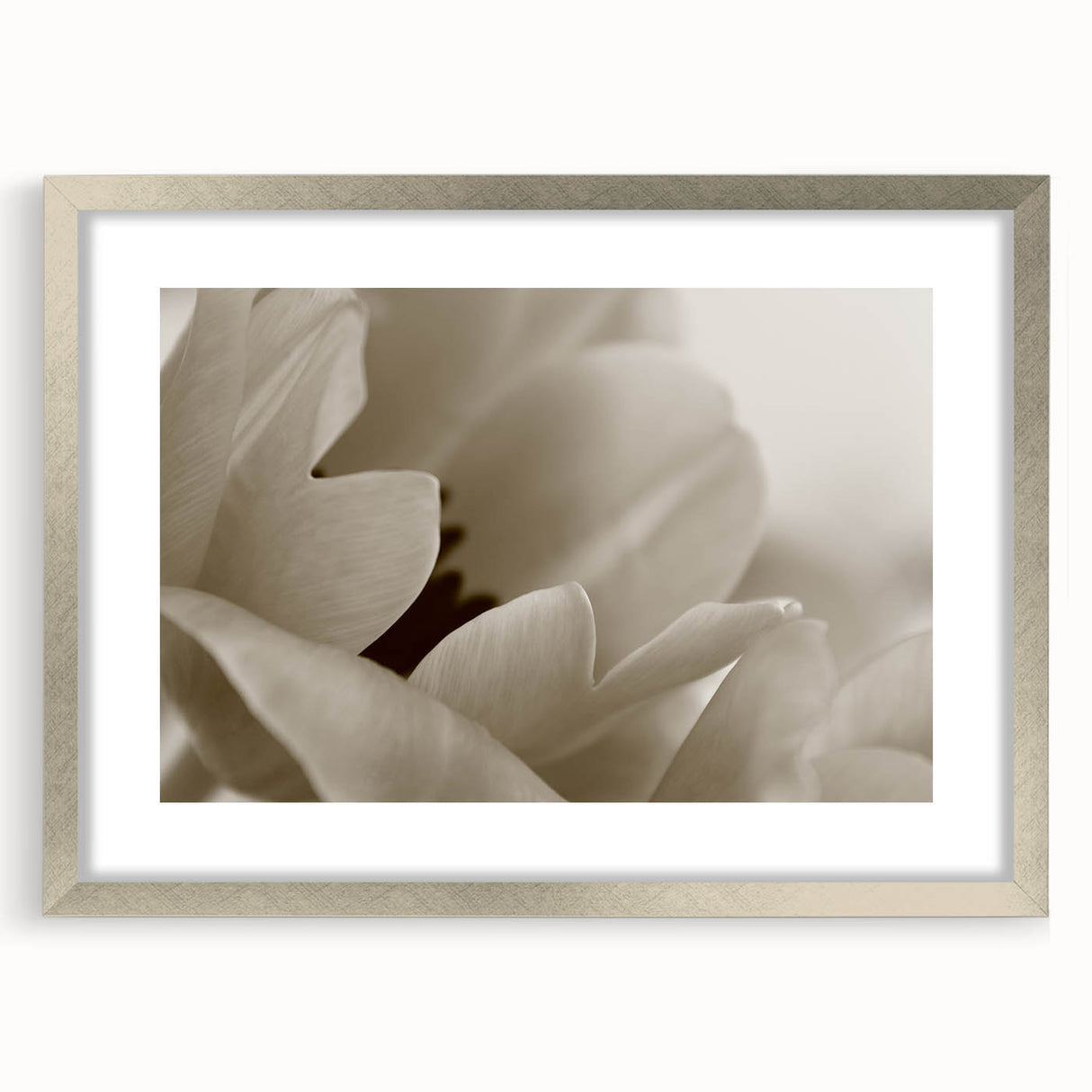 Textured abstract art print featuring close-up floral designs in soft pastel shades on a framed silver mat.