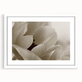 Abstract art print featuring close-up floral designs in soft pastel shades, framed in white.
