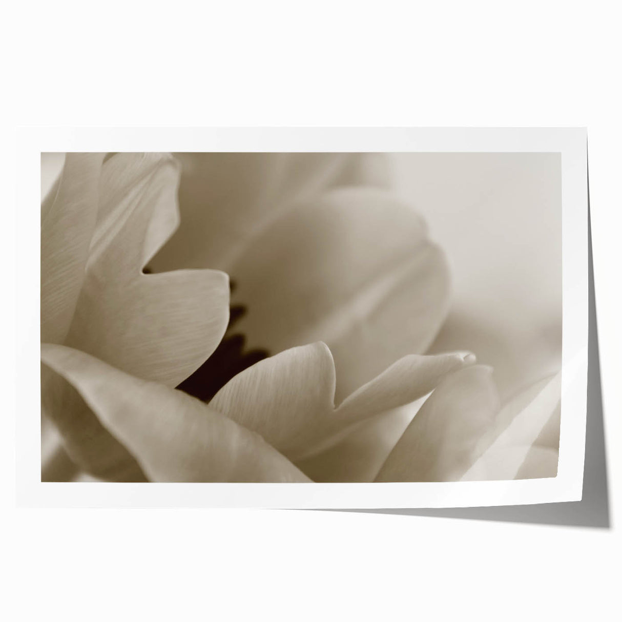 Close-up floral print in soft pastel shades on rolled canvas, suitable for dining room or bathroom wall decor.