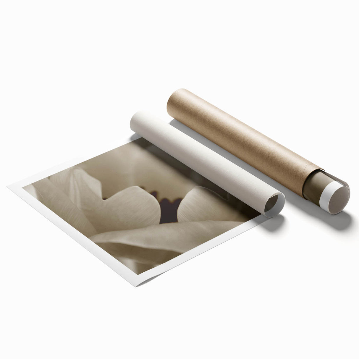 Extra large rolled print featuring close-up floral art in soft pastel shades.